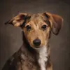 erinackley - @ermck73 - TikTok