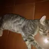erinalbaalves008776 - @erinalbaalves987008 - TikTok