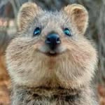 Erin S. Albright - @cawi.erin411 - Instagram