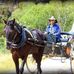 Erin Allan - Facebook