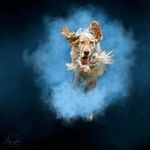 Erin Altman - @settermom23 - Instagram