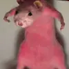 R@T - @erinamburgey36 - TikTok