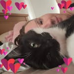Erin Arnett - @platypuspics - Instagram