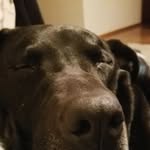Erin Midge Ashdown - @midgenmaze - Instagram
