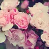 Erinaston_xo - @erinaston_xo - TikTok