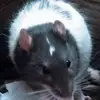Erin Avery - @erin.avery62 - TikTok
