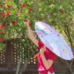 Erin Ballou Otterbein - @erinballou1 - Instagram