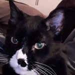 Erin Beaton-Fritz - @beatonfritz - Instagram