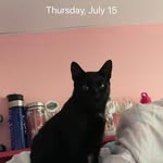Erin Beecher - @erin.beecher.754 - Instagram