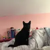 erinbeecher18 - @erinbeecher18 - TikTok