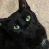 erinbeecher752 - @erinbeecher752 - TikTok