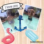 Erin + Bella - @erinbella25 - Instagram