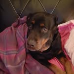 Erin Beveridge - @erinbev2007 - Instagram