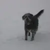 junanderinblanco - @junanderinblanco - TikTok