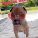 Erin Blevins Dave Blevins - @irishren66 - Instagram
