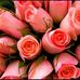 Erin Boehm - Facebook