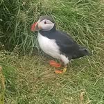 Erin Bosch - @bobosch2020 - Instagram