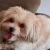 Erin Botterill - @erin.botterill - TikTok