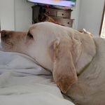 Erin Bourne - @bournelucky3 - Instagram