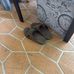 Erin Bourne - Facebook