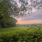 Erin - @erin_bowe9 - Instagram