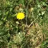 erinbox25 - @dreamy_day_nursery - TikTok