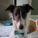 Erin Boyer - @critterprotector - Instagram