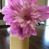 Erin Boyko - @erinboyko - TikTok