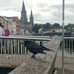 Erin go brach - @sebs.around.theworld - Instagram