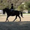 Erin Branson Haganhag - @erin.branson.haga - TikTok