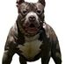 E.B. BullyBrand - Facebook