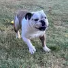 Erin Bridges - @erinbridges0 - TikTok