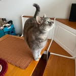 Erin Brightwell - @elbrightwell - Instagram