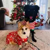 erinbroughton892 - @erinbroughton837 - TikTok