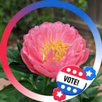Erin Cole Brownfield - Facebook