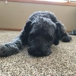 Erin Scheller-Brush - @e.scheller.brush - Instagram