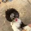 erinbuckingham - @erinbuckingham - TikTok