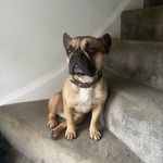 @erinbunting_xo - Instagram