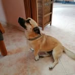 Erwin Carnio - Facebook