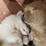 eri & casper - @eri_n_casper - Instagram