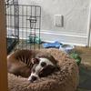 erin_catton - @erin_catton - TikTok