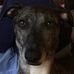 Erin Chadwick - Facebook