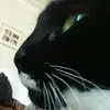 erinchadwick - @erinchadwick9 - TikTok