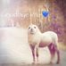 Aaron Chaffee - Facebook