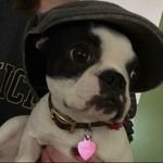 Erin Champlin - @champlinerin - Instagram