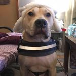 Erin Champlin - @erin.champlin.526 - Instagram