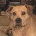 Erin Champlin - Facebook