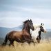Erin Chatterson - Facebook