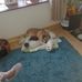 Aaron Cheeseman - Facebook