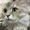 erinachinn - @erinachinn - TikTok